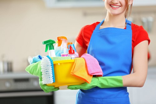 Domestic cleaners in Hounslow for busy households