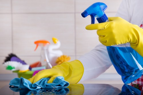 Professional hard floor cleaning in a Hounslow property