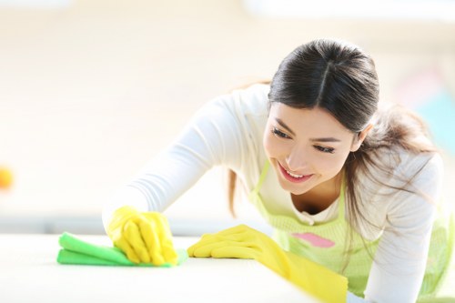 Screen-reader friendly carpet cleaning information for Hounslow visitors