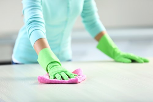 Insurance and safety checklist for a professional carpet cleaning appointment