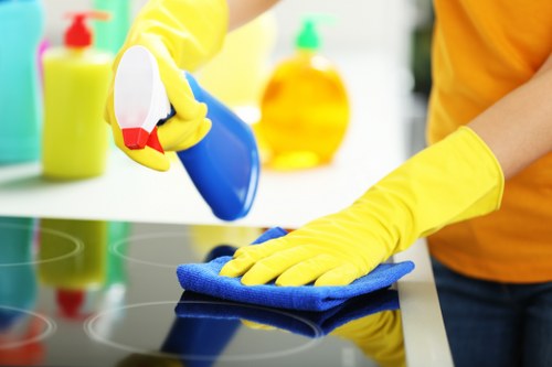 Trained carpet cleaner in Hounslow applying cleaning methods with care
