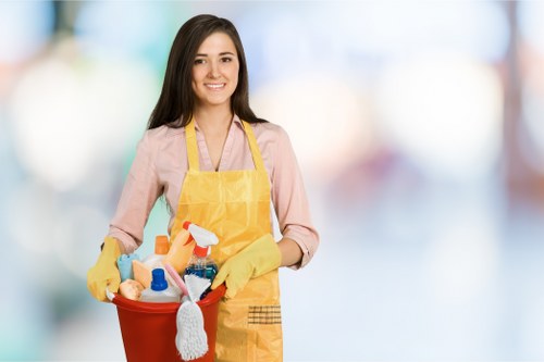 Stain removal and carpet care service in Hounslow home