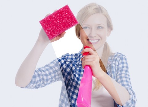 Deep upholstery cleaning process for a sofa in Hounslow