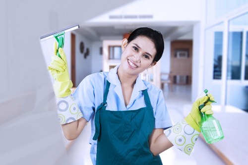 Domestic cleaning service in Hounslow focusing on kitchen surfaces
